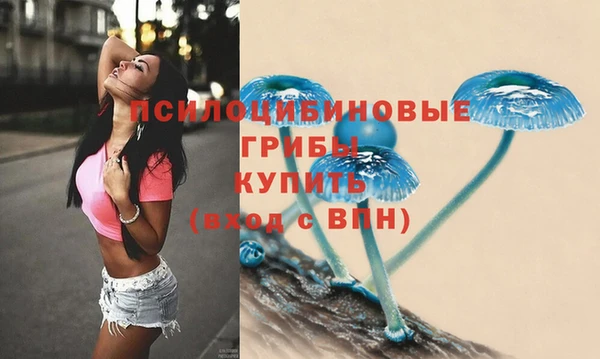 2c-b Кодинск