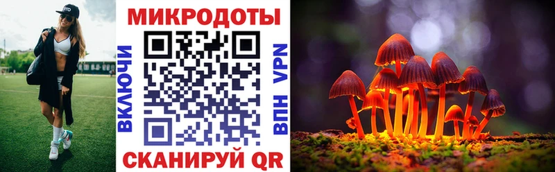 Купить закладки  Заозёрск  Псилоцибиновые грибы MAGIC MUSHROOMS 
